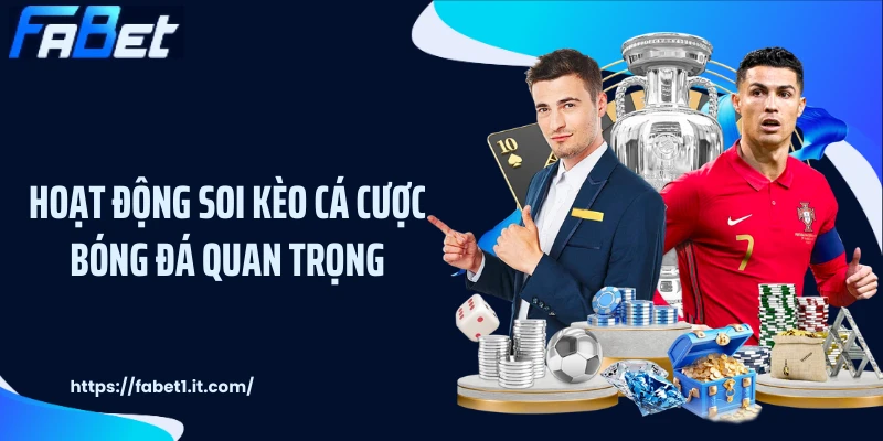 Hoạt động soi kèo cá cược bóng đá quan trọng